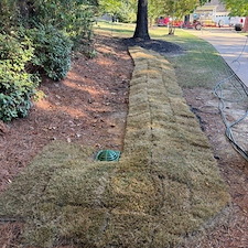 Spot-on-Sod-Installation-in-Oxford-MS 1